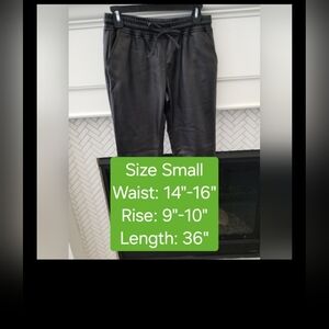 Harmony + Havoc Leather-Look Pants, EUC, Size Small